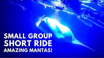 Affordable & Incredible: Manta Ray Night Snorkeling Tour Review