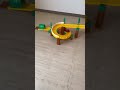 【急旋回】災害対策用救助車Ⅲ型の挑戦【トミカ】 #shorts #トミカ #ハプニング #子育て #災害対策用救助車Ⅲ型