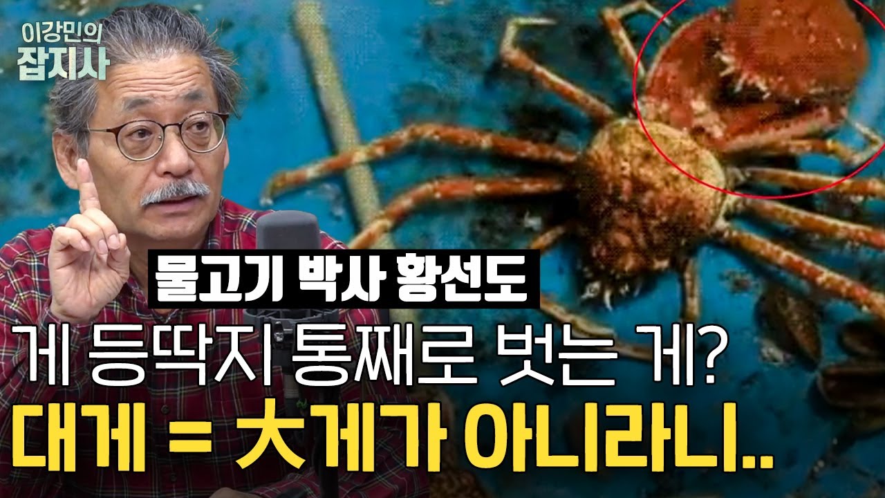 🦀🦐 밥 훔쳐가는 놈 게에 대해 알아보자 / 갑각류 특집: 대게, 새우, 꽃게