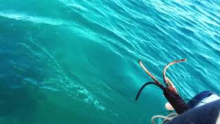 Tsl 63 Jadranovo Zizilend