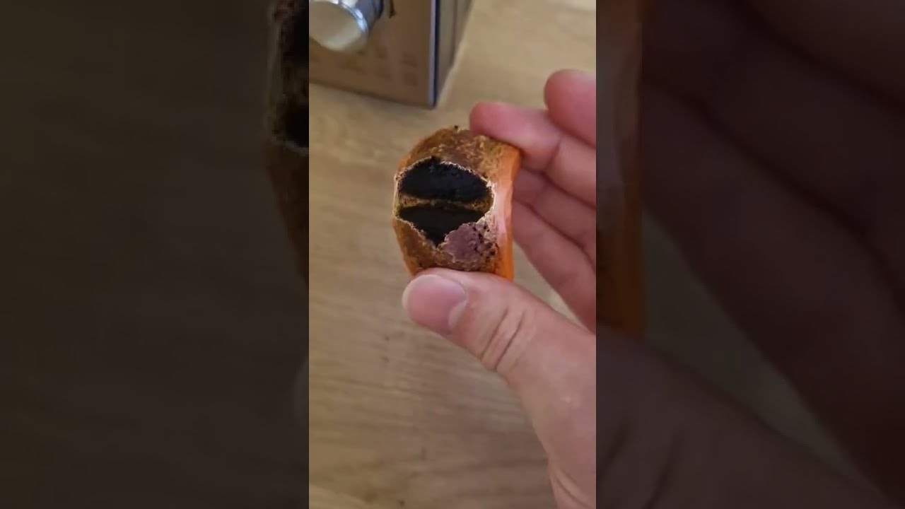 What happens when you put polymer clay in a Microwave?