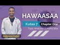 Hawaasaa Kutaa 7 