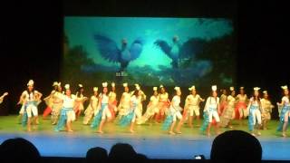 Cultural JAS SUD 2017 Ser Latinoamericano / Estaca Valle Verde / Brazil