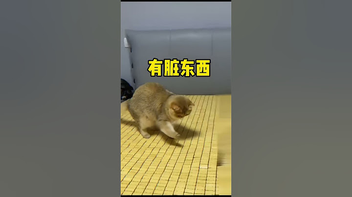 【牛奶是只猫】这凉席真是防猫神器哈哈哈哈！结尾看你还怎么睡我身上