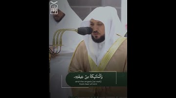 ﴿وَيُسَبِّحُ الرَّعدُ بِحَمدِهِ وَالمَلائِكَةُ مِن خيفَتِهِ﴾ من سورة الرعد للشيخ ماهر المعيقلي 🤍.