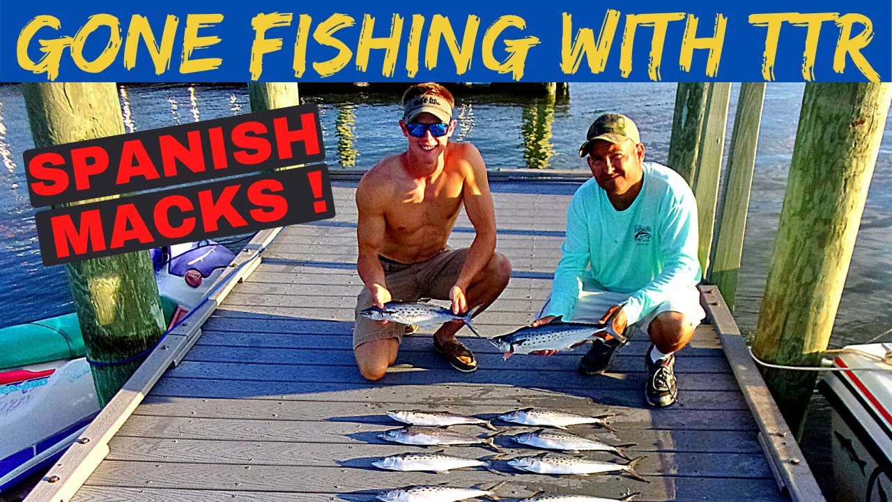 Chesapeake Bay Spanish Mackerel Fishing Light Tackle ! Fast And Furious