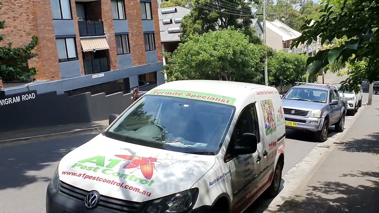 End of Lease Pest Control Glebe
