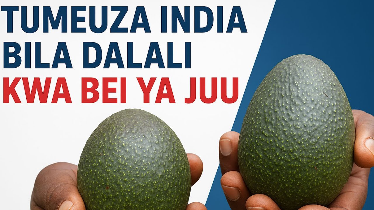 NG'ANDA AMCOS WAFANIKIWA KUKOMESHA MADALALI WA PARACHICHI WAUZA BEI NZURI MSIMU WA MAUAZO KUANZA MWE