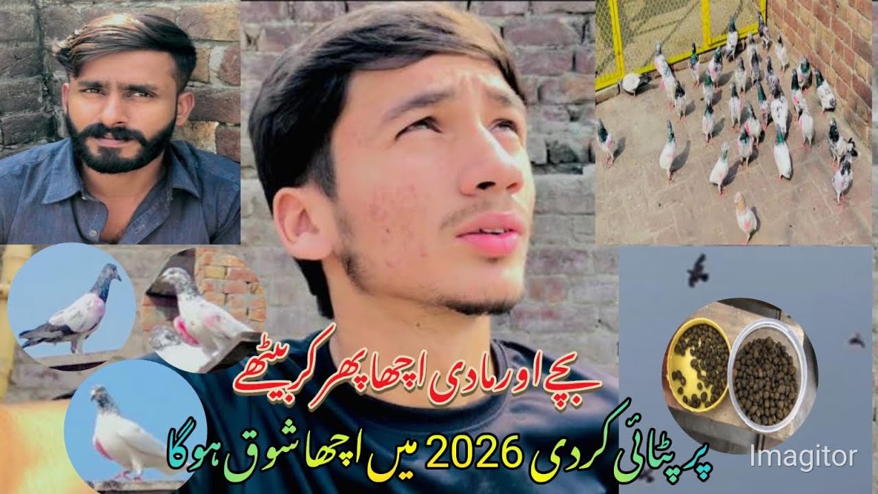 پرپٹائی کر دی 2026 میں انشاءاللہ اچھا شوق ہو گا❤️