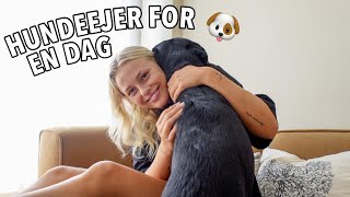 VLOG: PASSER MIN VENINDES HUND!