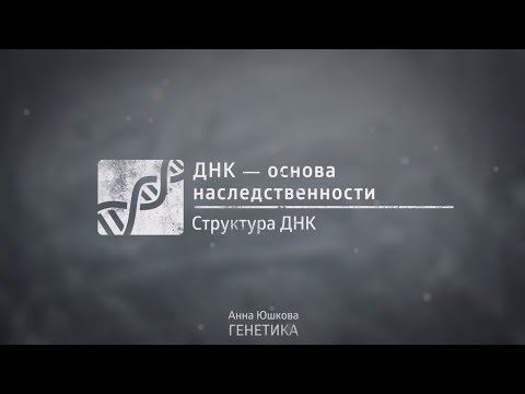 Лекция 1.1 | Структура ДНК | Анна Юшкова | Лекториум