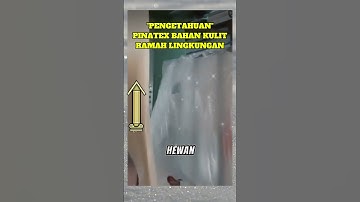 Thumbnail of "PENGETAHUAN" PINATEX BAHAN KULIT RAMAH LINGKUNGAN