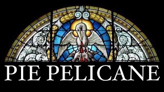 Video thumbnail of "Pie Pelicane - HARPA DE SIÃO"