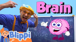 Blippi Learns about the Body and Brain | Learn Emotions and Feelings | Educational Videos for Kids