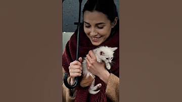 A Kind Hearted Lady helps a cute Baby Kittens #animalrescue #catrescueanimals #rescue #animals #reel