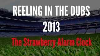 REELING IN THE DUBS 2013