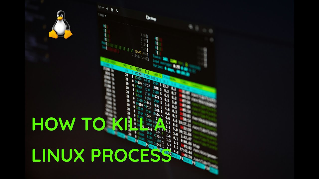 Mastering Linux: Terminate Processes Effortlessly in the Terminal - YouTube