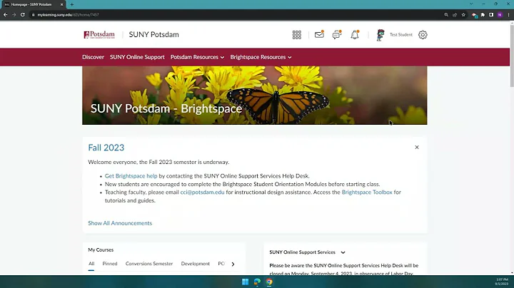 Brightspace: Adjusting Your Notifications and Subscribing to Discussions