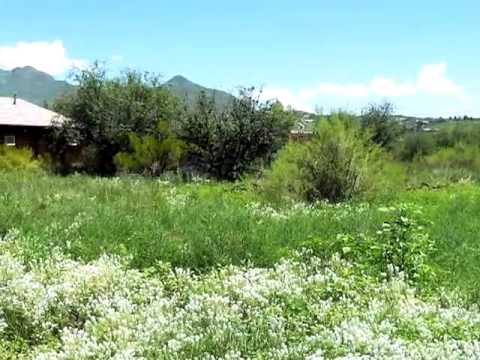 1219 W Frontage Rd, Rio Rico, AZ home video tour