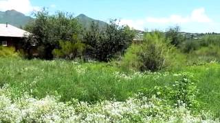 1219 W Frontage Rd video tour