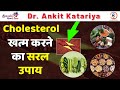 कोलेस्ट्रॉल (Cholesterol) को तेज़ी से कम करने का रामबाण उपाय | Cholesterol Control Foods