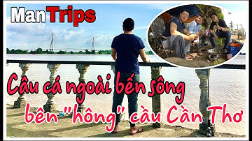 Câu cá ngoài bến sông - Bên "hông" cầu Cần Thơ | Mantrips