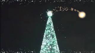 *** 🎄ОТКРЫТИЕ ЁЛКИ В СЕВАСТОПОЛЕ 2019-2020гг. 🎄🎇🎆***