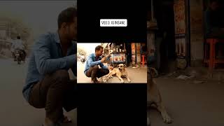 Dogesh 🐶 Bhai #viral #trending #song #explore #love #instagram #rajasthani Auto ai 😘 Towel