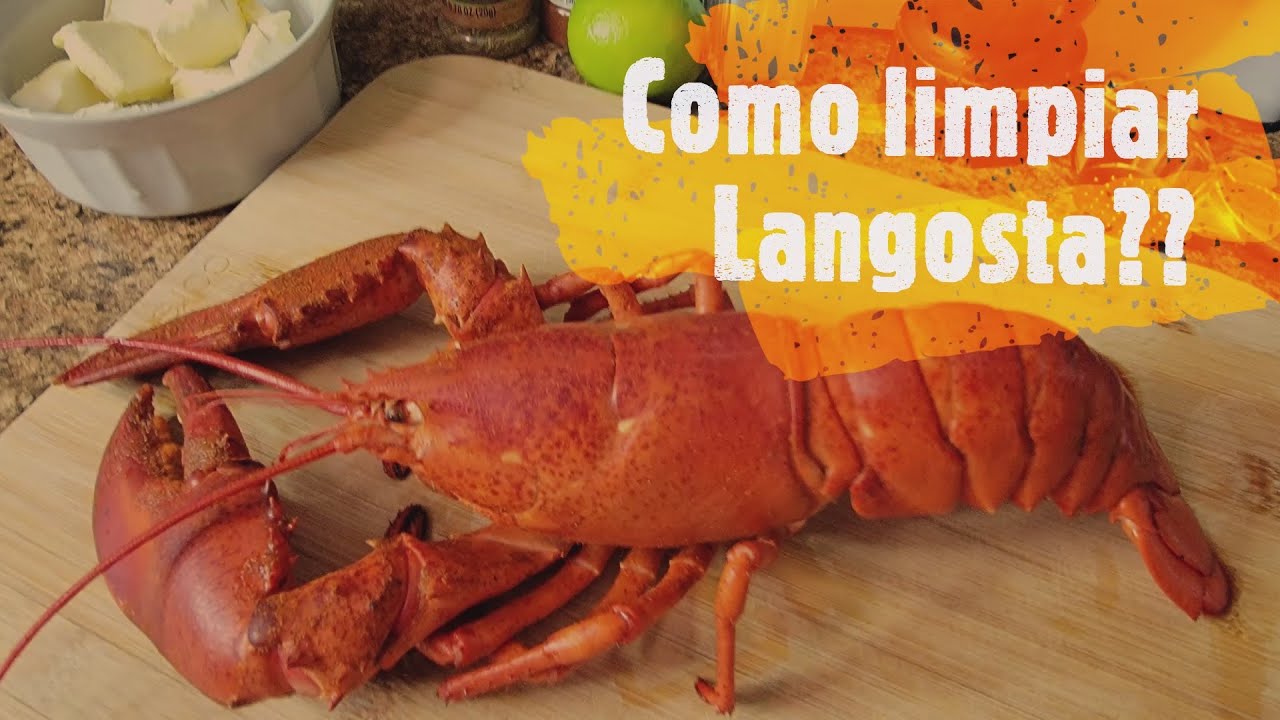 Como limpiar Langosta ??