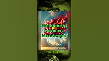 NHỮNG NGƯỜI NƯỚC NGOÀI MUỐN CỐNG HIẾN VÌ MÀU CỜ SẮC ÁO VIỆT NAM… #bảocóc #bảocócvlog #shorts #xh