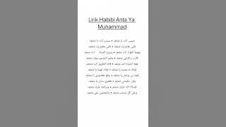 lirik HABIBI ANTA YA MUHAMMAD
