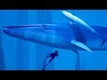 I DIDN'T EXPECT THIS!!! : ABZU | Ep2