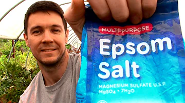 Jak by se měla epsomská sůl aplikovat na rostliny?