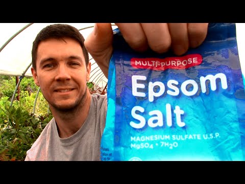 How to use Epsom Salt in the Garden and on Your Potted Plants