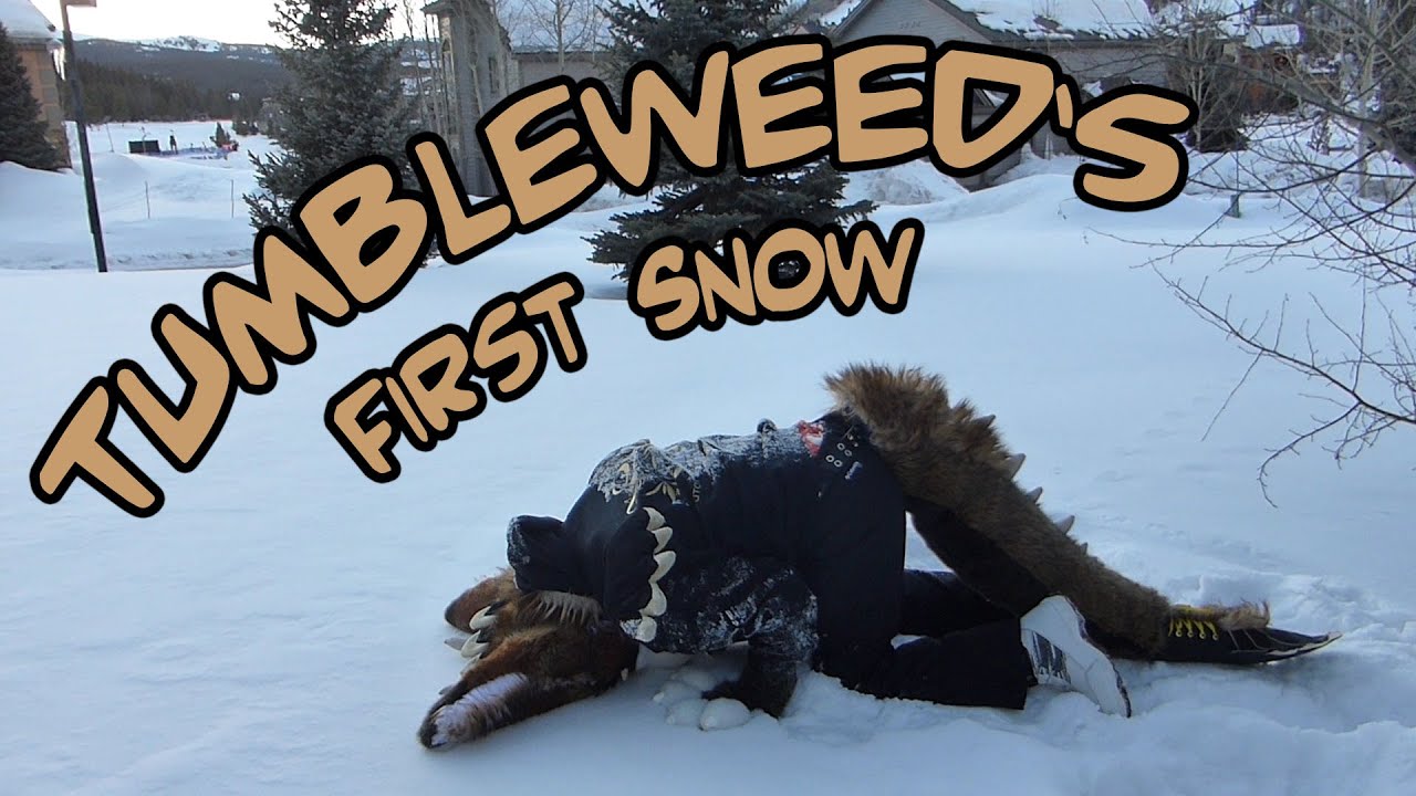Tumbleweed's First Snow