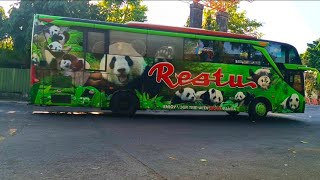 🚍Kompilasi Bus Indonesia Kasih Telolet Nonstop‼️Bus Sugeng Rahayu, Sinar Jaya, Rosalia Indah screenshot 1
