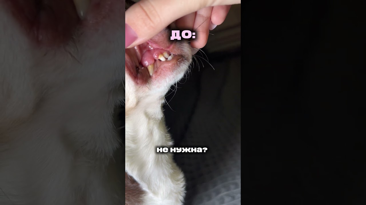 Выводы делайте сами! 565448733