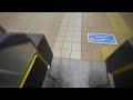 Tokyo snow hunting - Live
