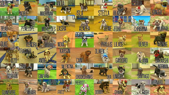 ALL OF MY NINTENDOGS! 2016 EDITION!