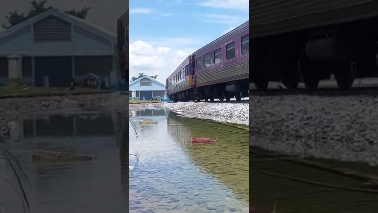 Watch จุดทางแยกสายใต้โค้งบางซื่อ ในน้ำมีปลาด้วย on YouTube Watch จุดทางแยกสายใต้โค้งบางซื่อ ในน้ำมีปลาด้วย on YouTube