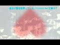 自由が愛を翻弄している／fullmoon feat.初音ミク