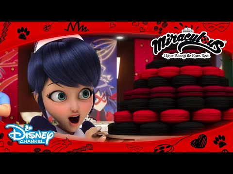 Garson Marinette 😍| Mucize: Uğur Böceği ile Kara Kedi | Disney Channel TR