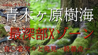 青木ヶ原樹海最深部Xゾーン昼間撮影動画になります🥶○体が次々発見されました🥶レトロさんとのコラボ動画になります😌