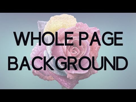 How To Add A Background To The Whole Page In Wordpress Youtube