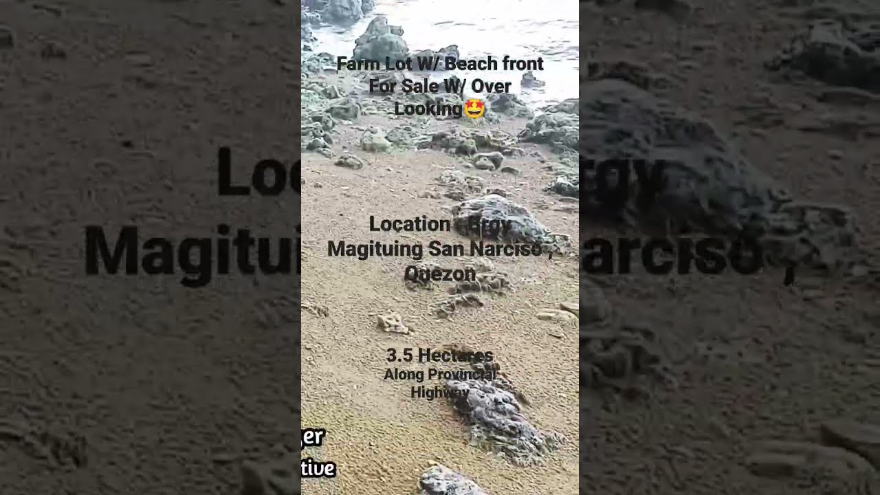 Farm Lot For Sale With Beachfront Along Provincial Highway OverLooking 