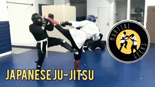 Japanese Jiu Jitsu Sparring🥋🥊