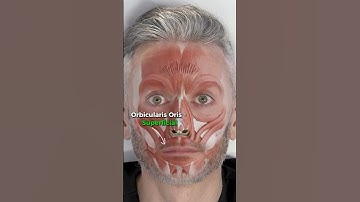 Lower face Botox injection depths 💉