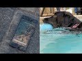 Google Pixel 2 Water Test + Underwater Video - Is it ACTUALLY Waterproof