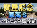 【JRAライブ】競馬記者が全レースのパドックを解説【関屋記念 東海ステークス 2026】