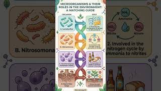 Microorganisms